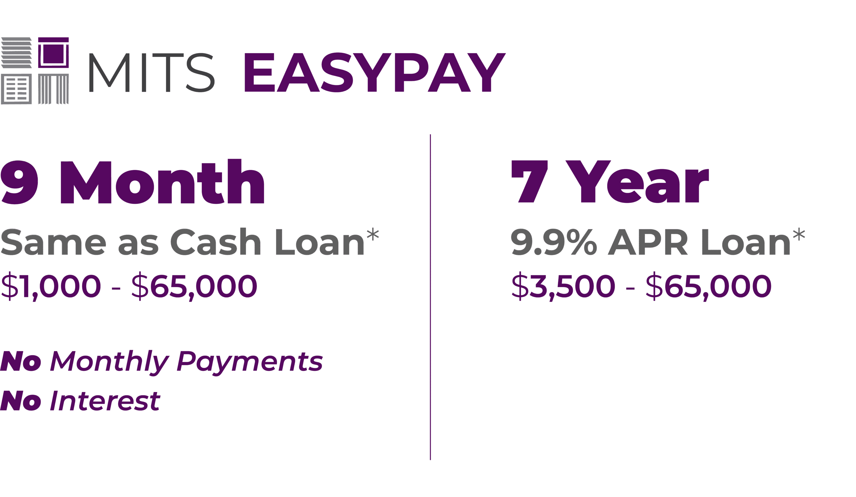 MITS EASYPAY